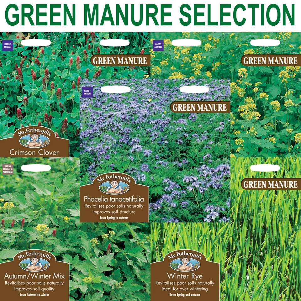 Green Manure Seeds Selection Mr Fothergill's - 5 Varieties - Discounts Available - Image 1 of 1