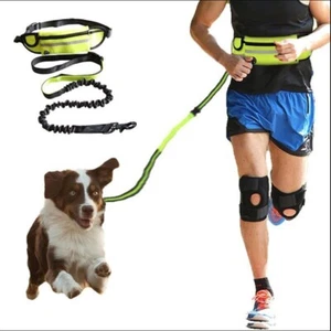 Hands Free Walking And Training Belt Leash For Up To 180lbs Dogs - Picture 1 of 12