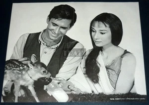 ANTHONY PERKINS AUDREY HEPBURN Green Mansions 1958 JPN Poster 10x12.5 #ji/k - Picture 1 of 1