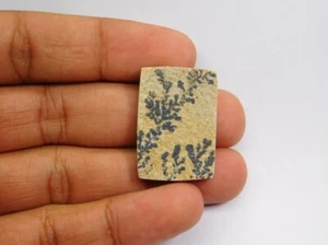 100% Natural Psilomelane Dendrita Druzy Cabujón Suelto Gema 34 Quilates ME-7296 - Picture 1 of 3