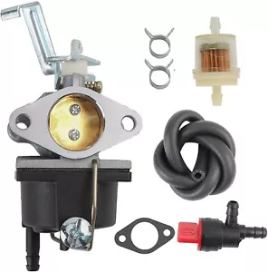 Carburador 640221 para Tecumseh Select TC-640221 OV691EA TVT691 5156 - Imagen 1 de 5