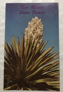 Fiore di Stato Nuovo Messico. Cartolina postale (B3) - Foto 1 di 2