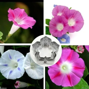 3Pcs Flower Cookies Cutter Pastry Biscuit Cake Decorating Mold Mould Tools - Picture 1 of 12