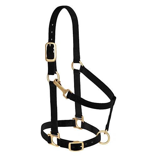 Soporte ajustable Weaver Basic con Snap Foto 1 de 1