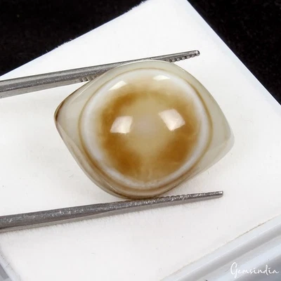 Piedra preciosa suelta cabujón de ágata natural natural de 22,30 quilates rara ~ 21x17x10 mm Foto 1 de 4