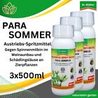 3x Para Sommer 500ml Dr. Stähler  Austriebs-Spritzmittel Schildläuse Spinnmilben