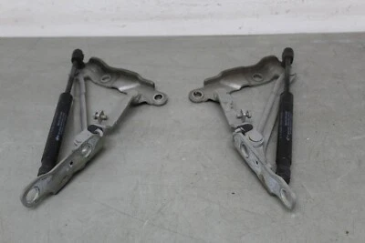 Nissan Altima 2008 2009 2010 2011 2012 2013 cupé maletero bisagras par OEM Foto 1 de 4