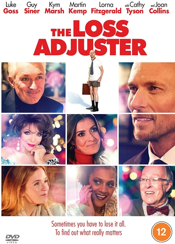 The Loss Adjuster (DVD) - Image 1 of 1