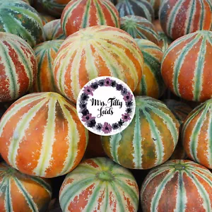 Zuckermelone SWEET KAJARI 10 Samen historische Sorte frühe Melone samenfest süß - Bild 1 von 3
