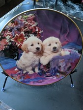 New! 3 Royal Doulton Collector Plates, Numbered! Cute Golden Retrievers!