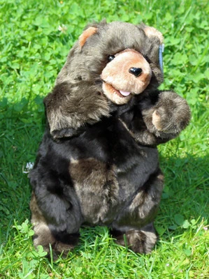 Förster Bär braun stehend 26 cm (5940) NEU Stofftier Plüschtier Kuscheltier