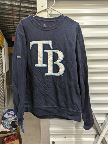 EUC Vintage Tampa Bay Rays Baseball Stitches Sweatshirt MLB Size M Medium Cover