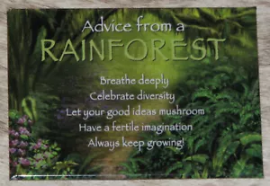 YOUR TRUE NATURE Advice from the Rainforest ~"Siempre sigue creciendo" ~Imán para nevera ~ - Imagen 1 de 2