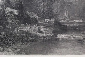 Antique 1874 Steel Engraving Print Adirondack Woods By J.M. Hart Painting 10"x13 - Picture 1 of 6