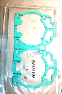 NUEVO OEM SKIDOO JUNTA BASE CILINDRO 420931581 VÁLVULA LENGÜETA 593CC MXZ FORMULA .4 MM - Imagen 1 de 2