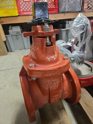 Válvula de compuerta principal con brida Kennedy serie KS-FW de 4 pulgadas  Foto 1 de 4