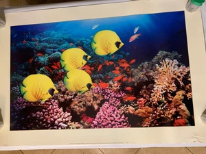 Poster mare pesce giallo - Foto 1 di 7