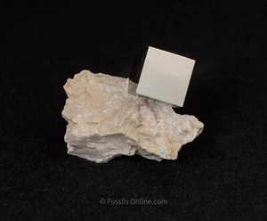 Pyrite Cube in Matrix La Rioja Spain 6408 - Picture 1 of 2