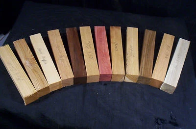12 Piece 12 Species Bottle Stopper Blank 1 1/2 x 1 1/2 x 8" Turning Craft Lumber - Image 1 of 3