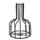 [Pulsation] Nordic Simple Glass Vase Hydroponic Plant Flower Vase Iron Geometri