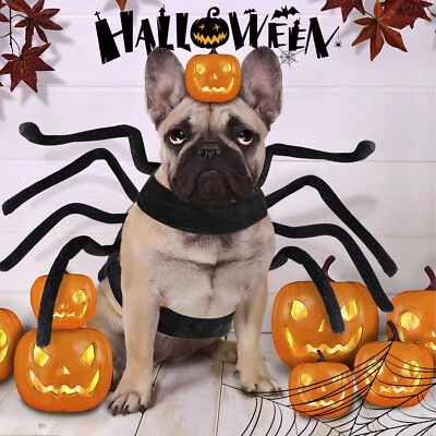 Halloween Spider/Bat Pet Costume/Xmas Santa Hoodie Coat Cosplay Clothes Cat Dog - Image 1 of 4