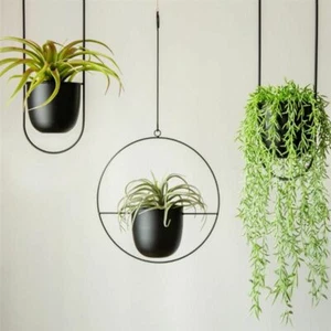 Cesta de flores colgante maceta de pared oscilante hogar jardín balcón jardín decoración  - Imagen 1 de 16