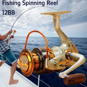 Carrete de pesca Dr. Fish rodillo giratorio 12BB rodamiento de bolas metal agua salada 1000-8000 - Imagen 1 de 20