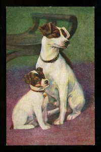 Par de postales Fox Terrier perro cachorro - Imagen 1 de 2