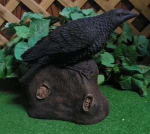 1252 Raven American Black Crow Corvidae Latex Fiberglass Production Mold - Picture 1 of 6