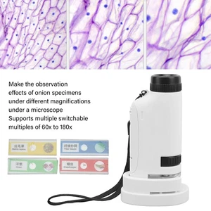 Portable LED Lighted Mini Pocket Microscope For Kids Observation VTKQ - Picture 1 of 22