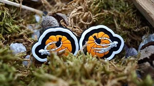 Twisted Pumpkins Patch - Bild 1 von 2