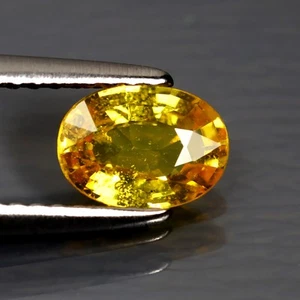 0,90 ct Oval (7 x 5 mm) (Unbeheizt) Ceylon Natürlicher Gelber Saphir Edelstein - Bild 1 von 2