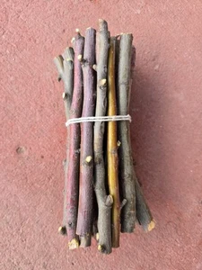 Apple Wood Chew Sticks Twigs Treats 3/8"D 7~8"L Chinchilla Rabbit Guinea Pig  - Picture 1 of 9