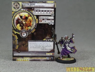 Warmachine WDS painted The Protectorate of Menoth Initiate Tristan Durant e63 - Image 1 of 4