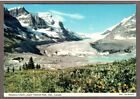 Carte postale INUTILISÉE du parc national Athabasca glacier Jasper # 2 - Je combine S/H