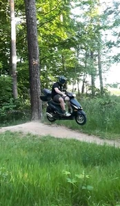 rex roller 50ccm 4 takt - Bild 1 von 3