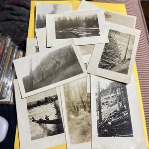 Lot of 14 RPPC Postcards of Logging In Northwest US Postcards - Picture 1 of 16