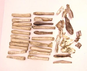 Lote de chatarra de plata limpia de ley de 438 g, punteras mexicanas todas probadas - Imagen 1 de 9