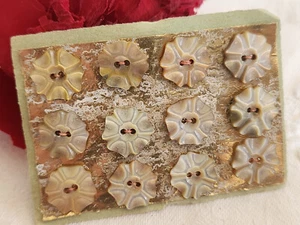 Rare petite plaque boutons anciens en nacre 1,2 cm lot de 12 n°2F - Bild 1 von 4