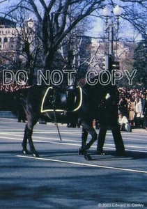 1963 JFK FUNERAL - "BLACK JACK" - RIDERLESS - 8.5" x 11" - REPRINT FROM ORIGINAL - Picture 1 of 1