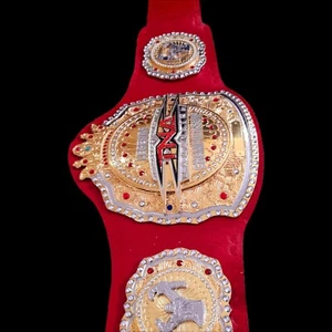 New TNA X Division Heavyweight Championship Belt Red Color Adult Size 2mm Brass - Picture 1 of 5