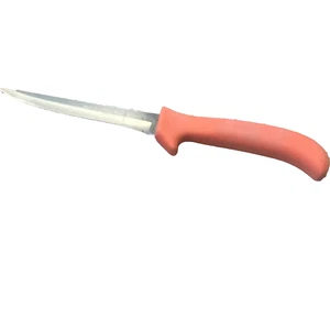 Dexter Russell EP156HG Sani-Safe Ausbeinmesser 6" Hohlschliff11233 Orange - Bild 1 von 5