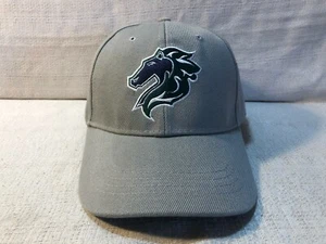 Charlotte Knights MLB Baseball Minor League One Size Fits All Gray Cap Hat - Picture 1 of 5