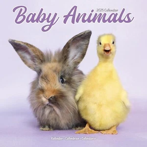 BEBÉ ANIMALES - CALENDARIO 2025 - NUEVO - 604212 - Imagen 1 de 2