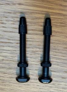 Bontrager TLR 50mm Tubeless Ventil - Paar - Bild 1 von 1