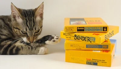 KODAK EKTACHROME TUNGSTEN & DAYLIGHT 4X5 FILM - Image 1 of 2