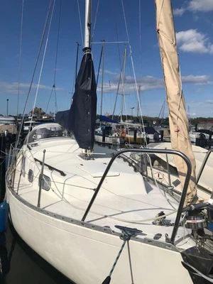 Gepflegte seetüchtige Segelyacht mit Trailer - Bild 1 von 4