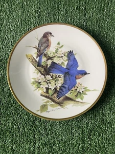 The Songbirds of Roger Tory Peterson ~ Bluebirds ~ Porzellan Sammelteller 1981 - Bild 1 von 3