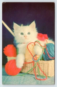 White Cat In Yarn Vintage Postcard AF48 - Picture 1 of 2