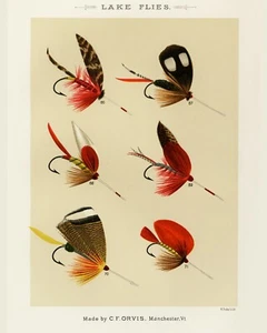 Print or Canvas  - Lake Flies  by Mary Orvis Marbury - Picture 1 of 1